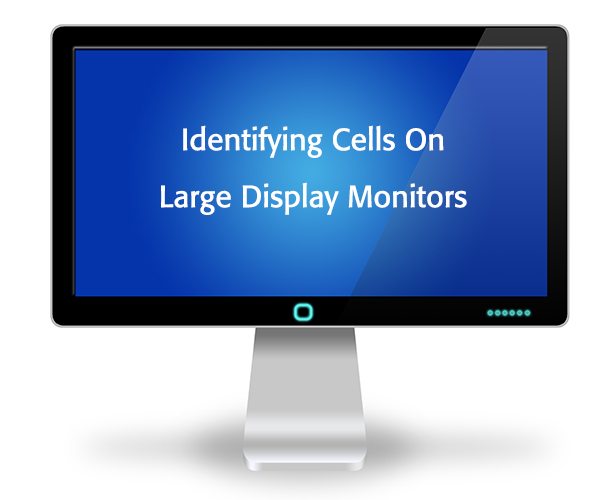 How to Identify Cells on Large Display Monitors(2)